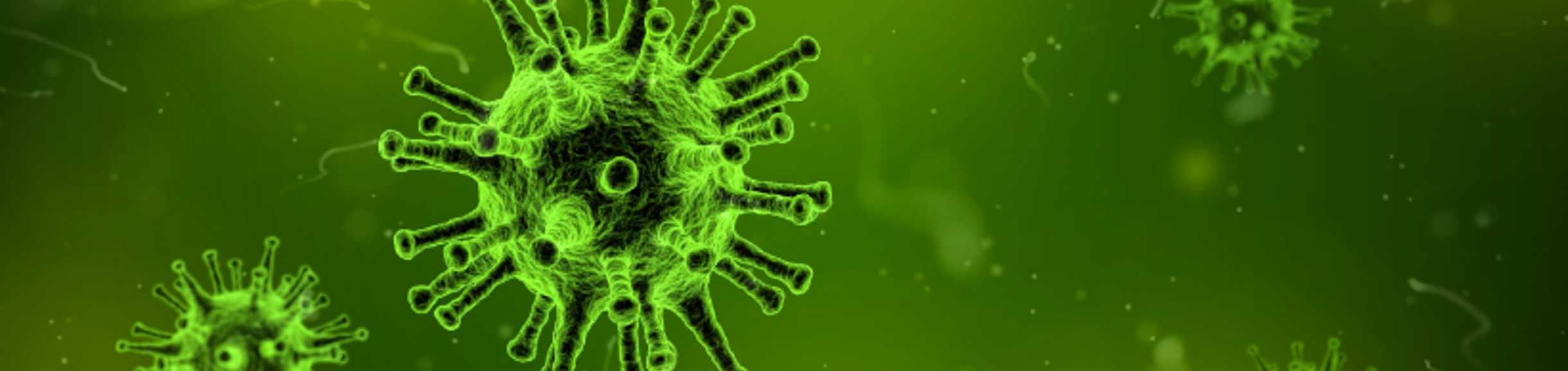 Virus Banner