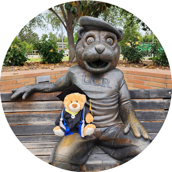 UCR Scotty the Bear metal statue on Bench with stuffed bear in graduation robe