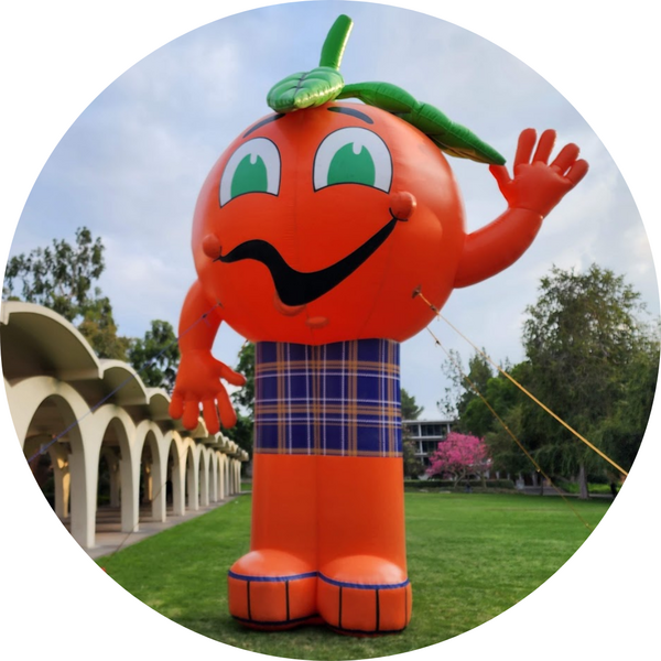UCR giant inflatable Norm Mascot on Rivera Libary lawn next to arches