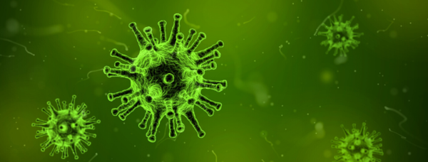 Virus Banner