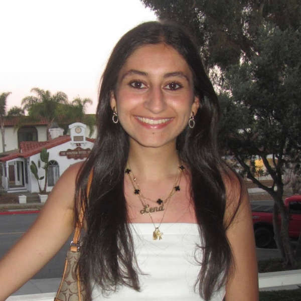 University Honors Ambassador Lena Tadros Profile Picture