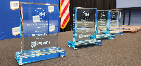 University Honors Pillars of Excellence Acrylic Awards 